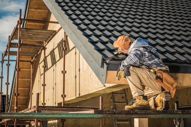 Best Roof Moss and Algae Removal  in Osceola, AR